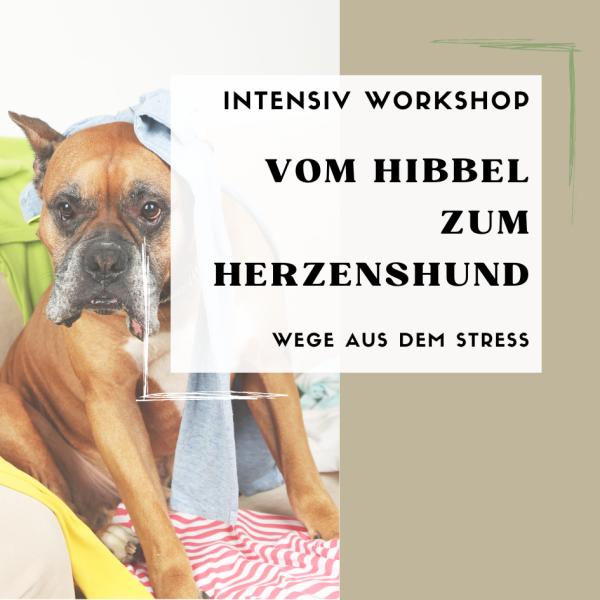 Workshop: Vom Hibbel zum Herzenshund