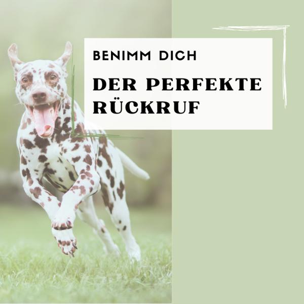 Der perfekte Rückruf