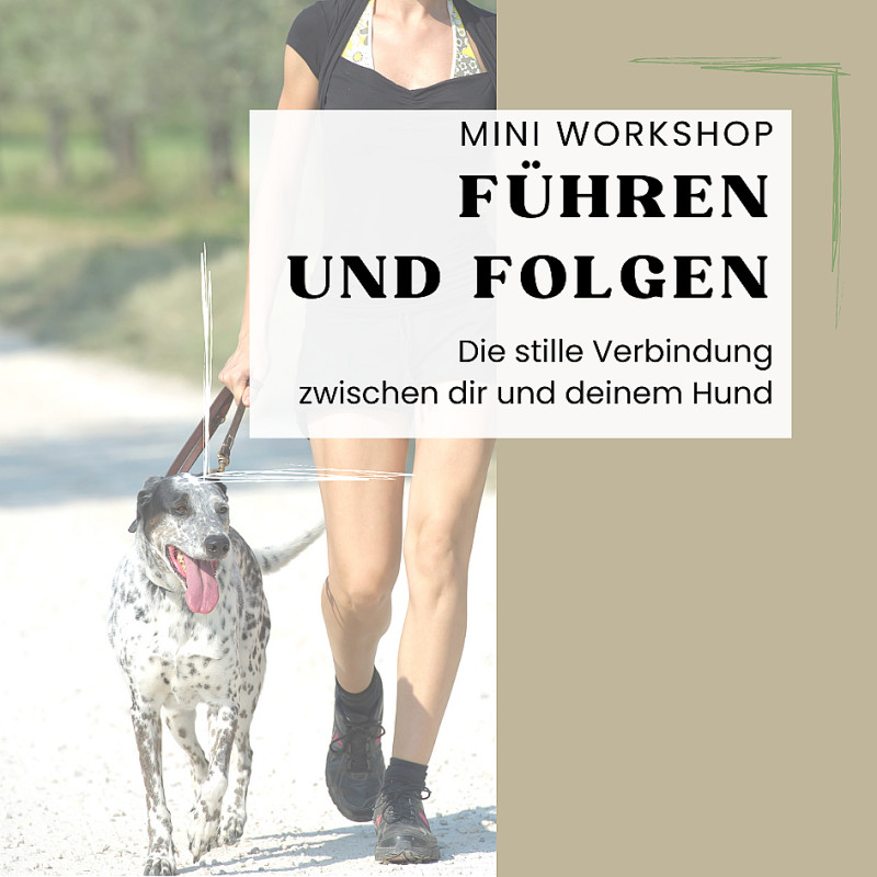 Führen & Folgen