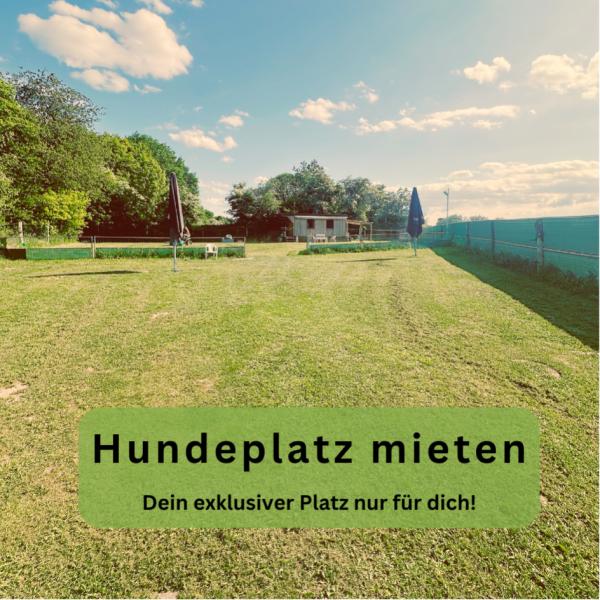 Hundeplatz mieten