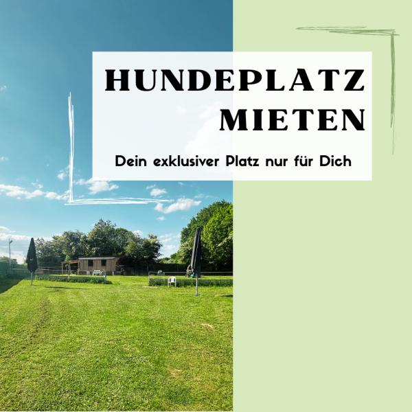 Hundeplatz mieten