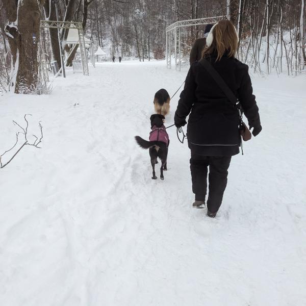 Lustige Leinespiele (Kopie)