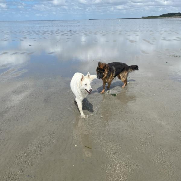 Spielstunde ab 12 Monate