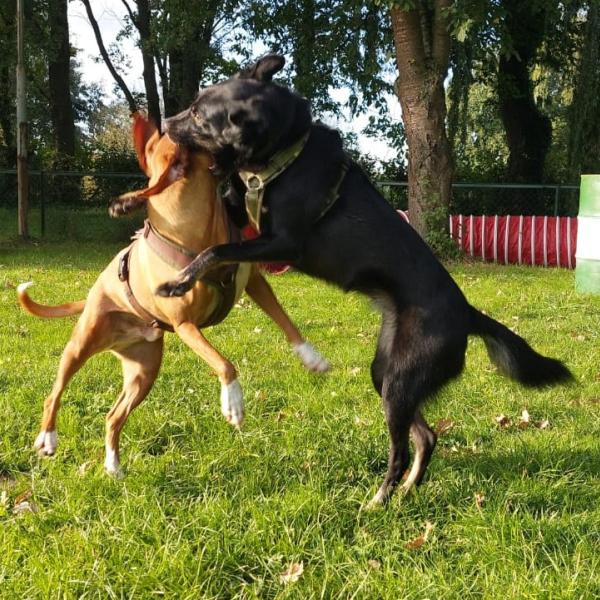 Workshop Körpersprache lesen lernen