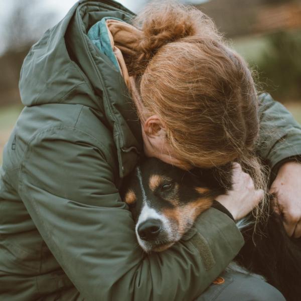 BeziehungsKompass/Anfänger