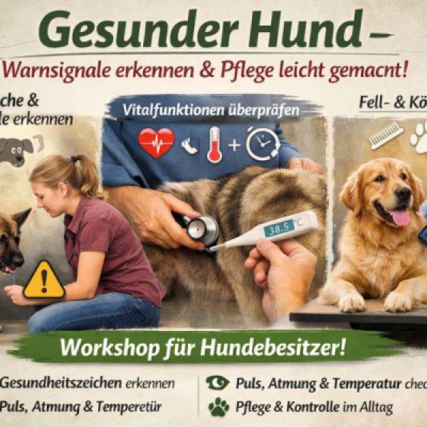 Gesunder Hund – Warnsignale erkennen und Pflege richtig anwenden