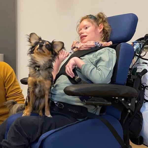 Info-Webinar Besuchs-/Therapiebegleithundeausbildung