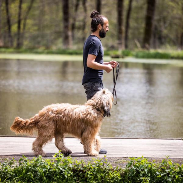 Sami el Ayachi - Teil I, II und III