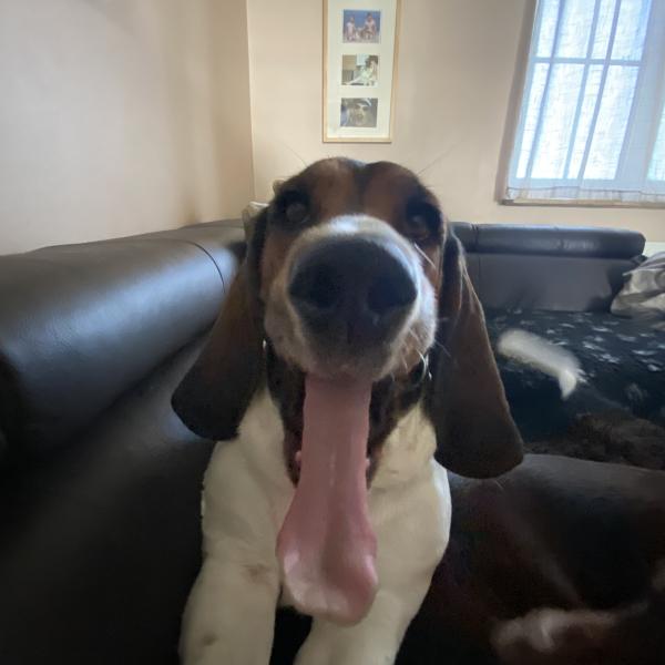 Ein perfekter Tag - Präsenz & Korrektur