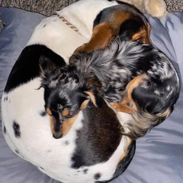 Der Endlich mal nix tun - Kurs