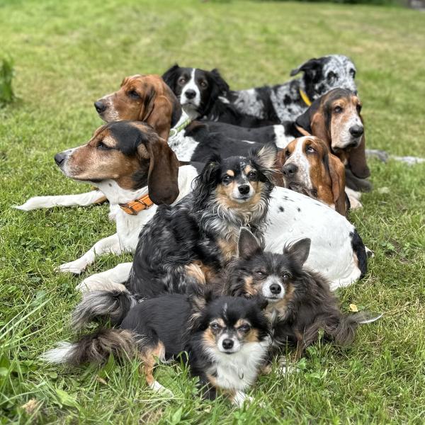 Winterberg - Alltagstauglichkeit