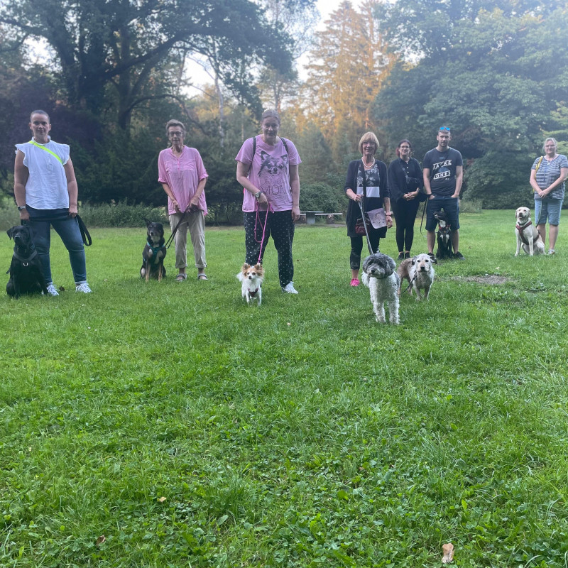 Social Walk