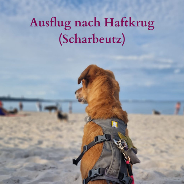 Ausflug an die Ostsee