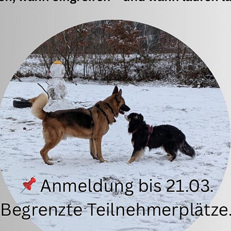Der besondere Kontakt