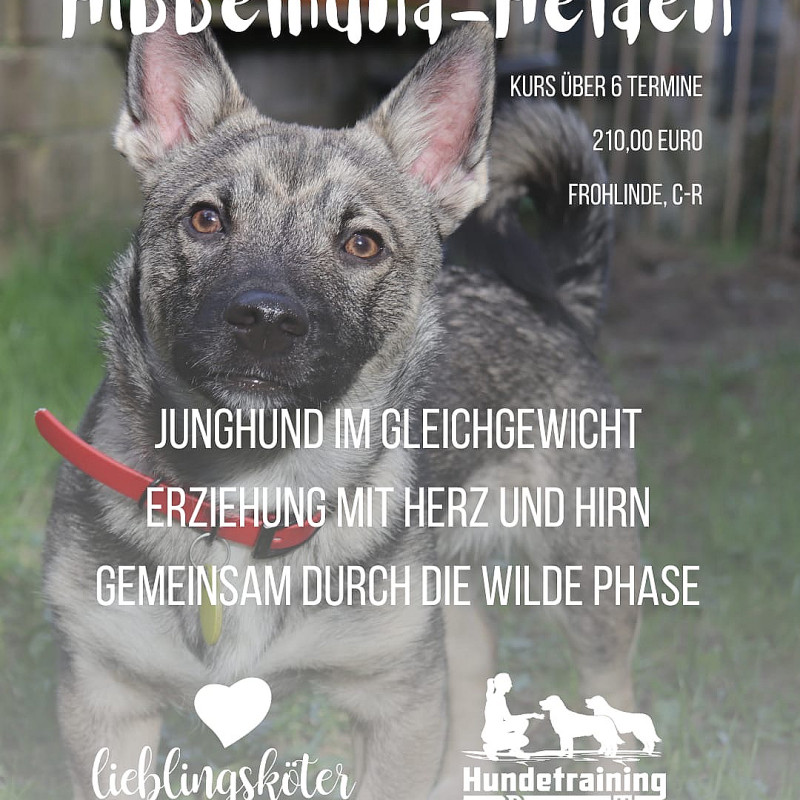 Hibbelhunde