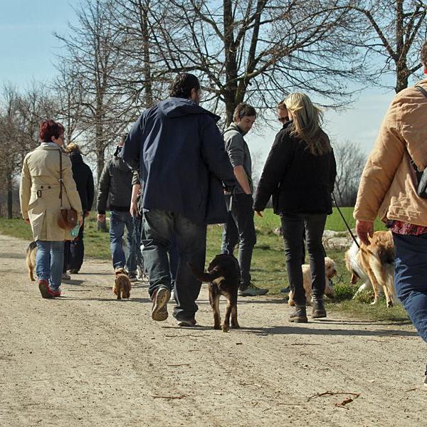 Social Walk - geführter Spaziergang