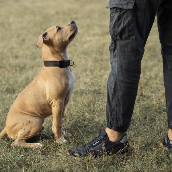 Übungsgruppe für Fortgeschrittene - a