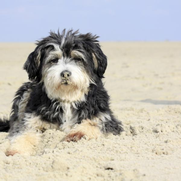 Borkum Seminar - Spiel und Spaß