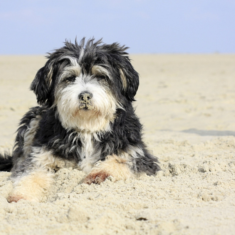 Borkum Seminar - Meer als Training