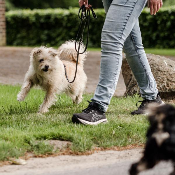 Impulskontrolle und Frustrationstoleranz Seminar