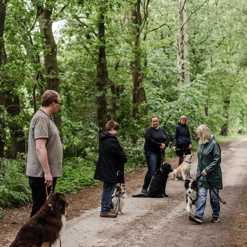 Begegnungstraining Aufbaukurs