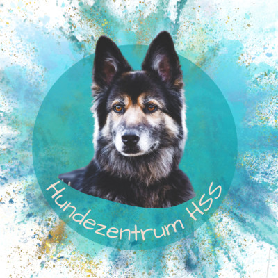 TrainerIn siehe Info