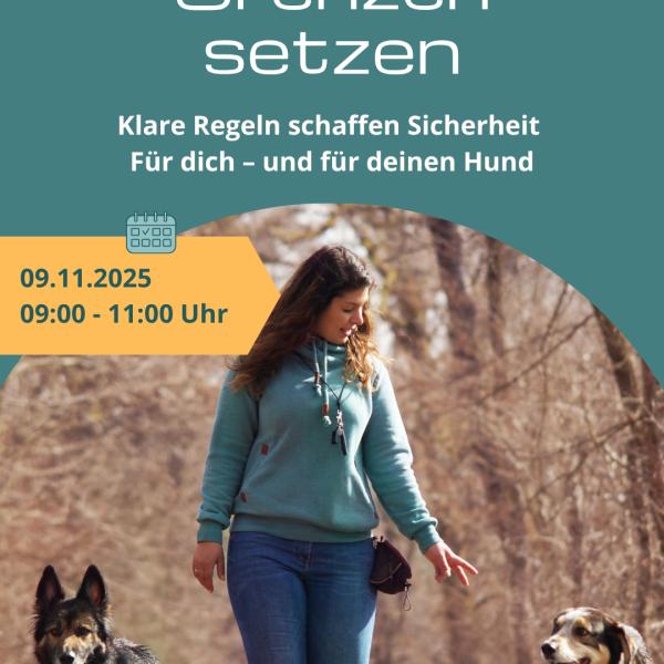 🐾 Grenzen setzen - aber richtig
