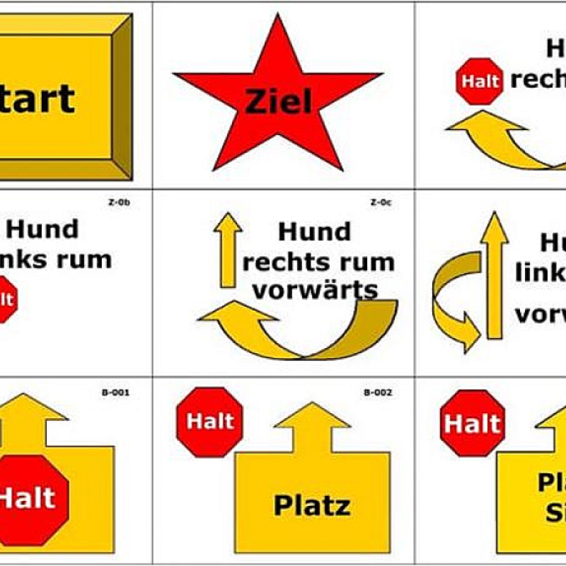Rally Obedience Beginner