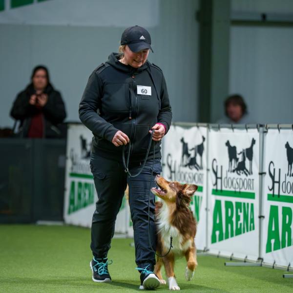 Rally Obedience Schnupper-Workshop
