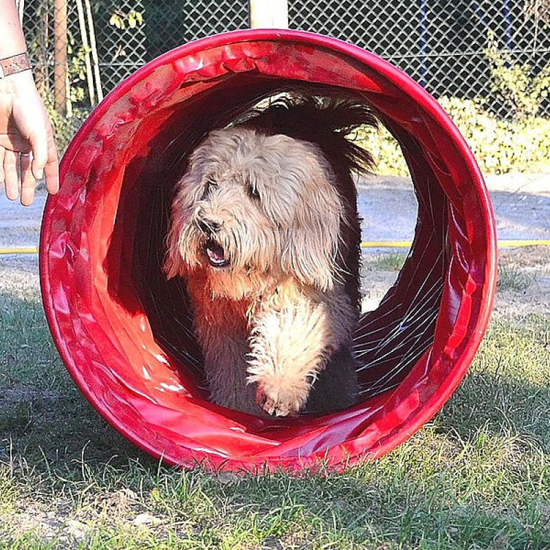 Agility