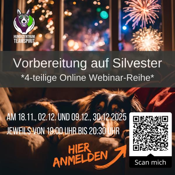 Vorbereitung auf Silvester | 4-teilige Seminarreihe