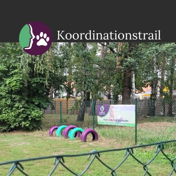 Aktiv mit Hund - Koordinationstrail