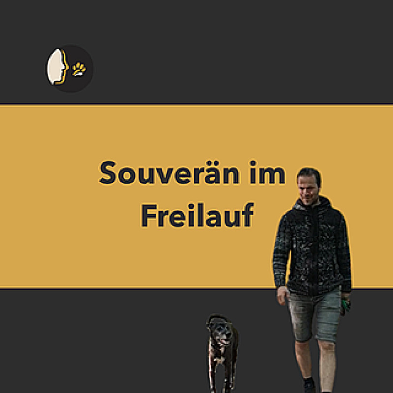Souverän im Freilauf  - Rückruf, Orientierung und klare Führung ohne Leine