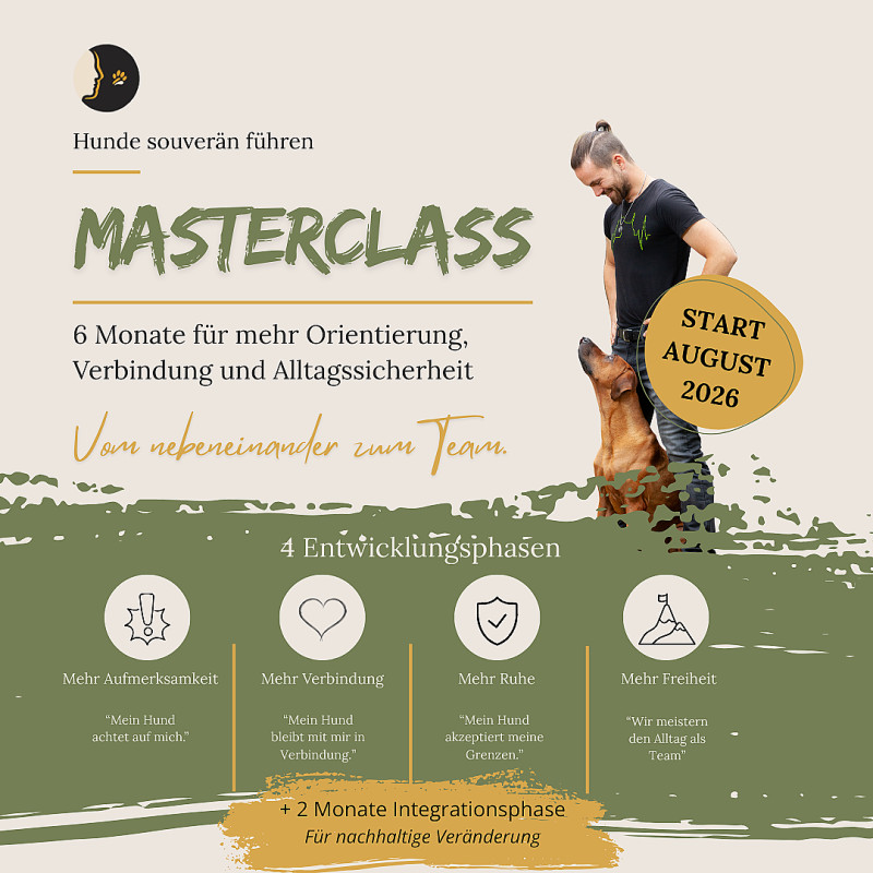 HSF Masterclass START 08/2026