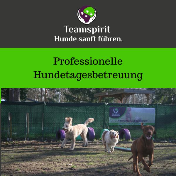 HuTa Montag