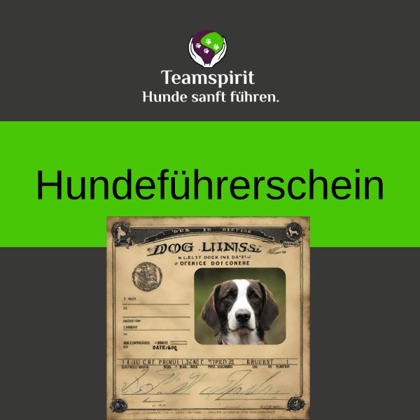 Hundeführerschein