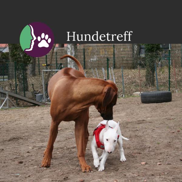 Hundetreff