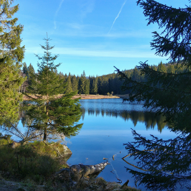 Wanderreise Bayerischer Wald