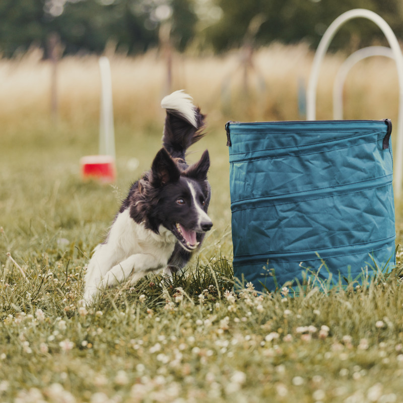 Workshop Hoopers Anfänger