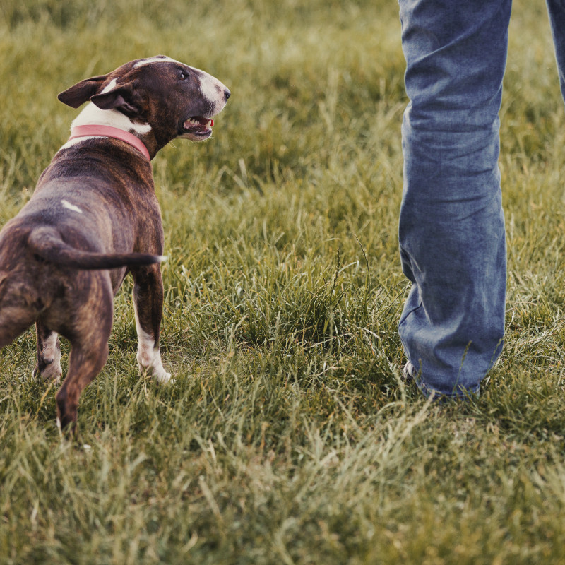 Im Einklang - nonverbale Kommunikation