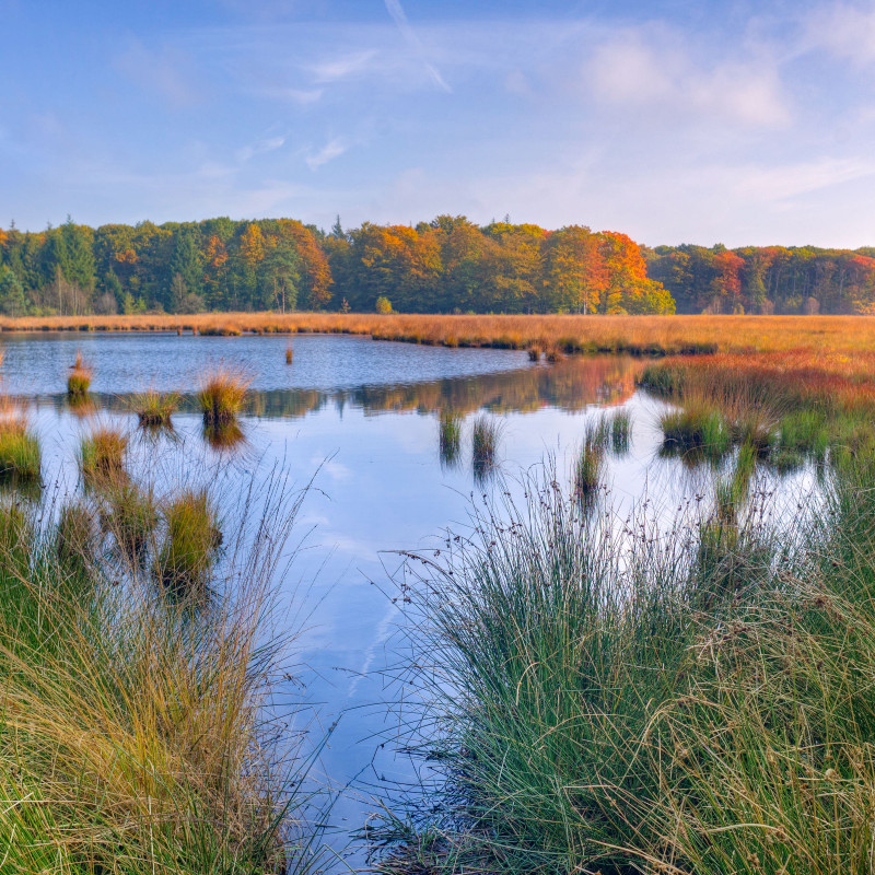 Wanderung Kendlmühlfilzen
