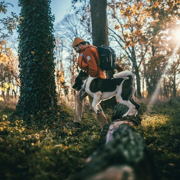 Themengassi Fit mit Hund