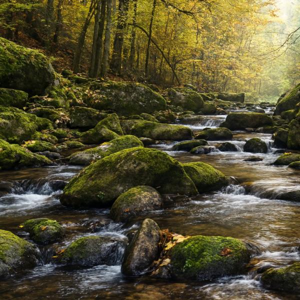 Wanderung Buchberger Leite