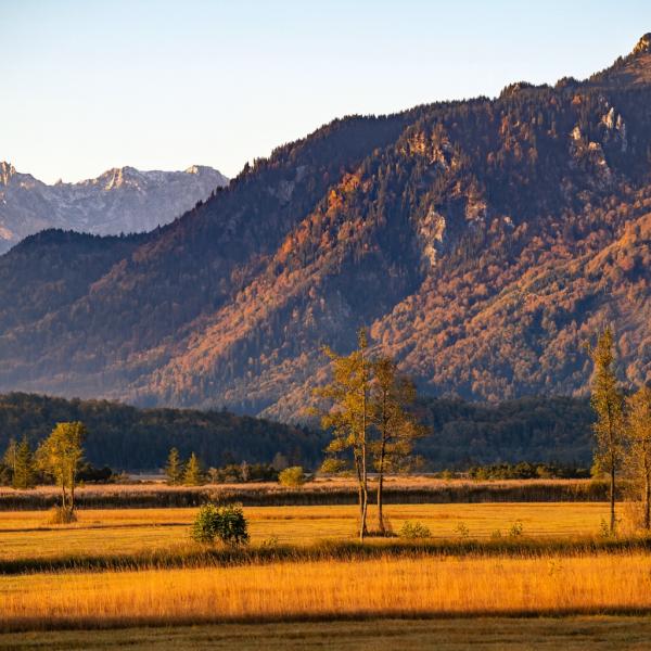 Wanderung Murnauer Moos