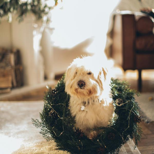 Themengassi Christmaswalk