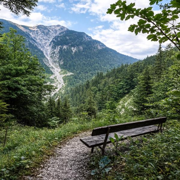 Wanderung Jägersteig/Seinsbach