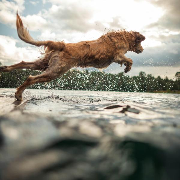 Themengassi River Walk