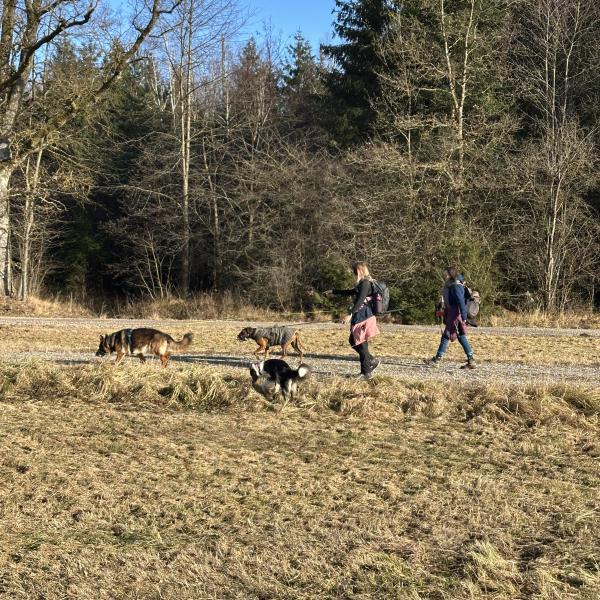 Weihnachtsspaziergang