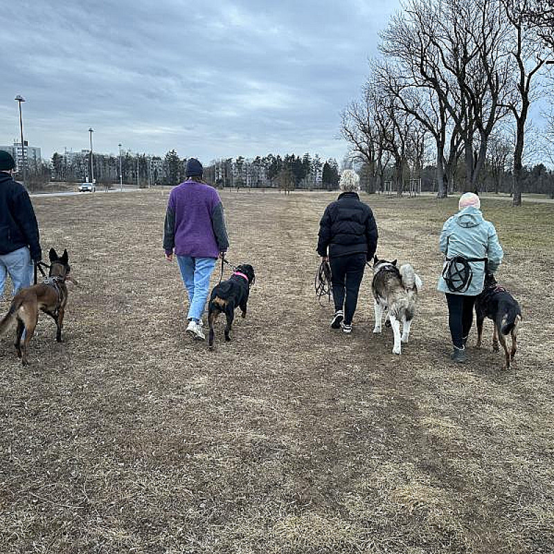 Meet & Greet walk