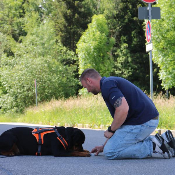 Gegenstands- & Geruchsanzeige Kurs für Anfänger
